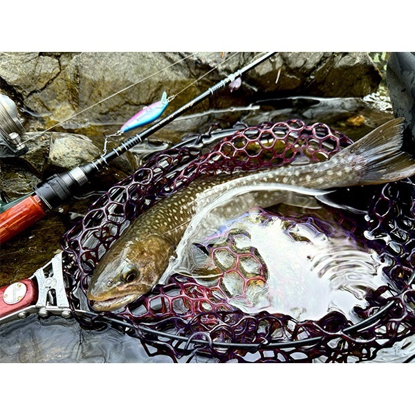 アルチザン　ネルメッツオ　50FS